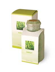 Barley - Mladý ječmen